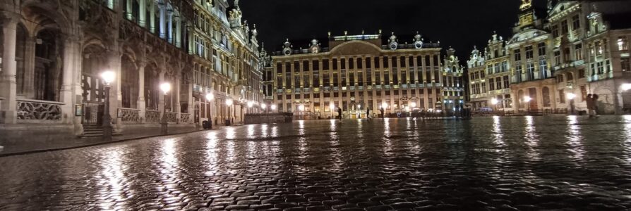 Manifesto for a European Tax Credit – European Parliament – Bruxelles 1/24/2024